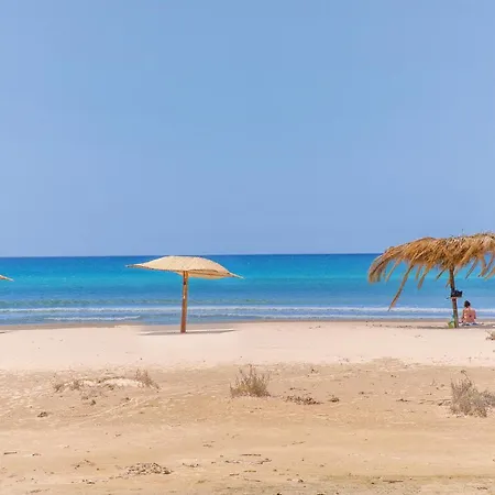 In With Wifi Scoglitti